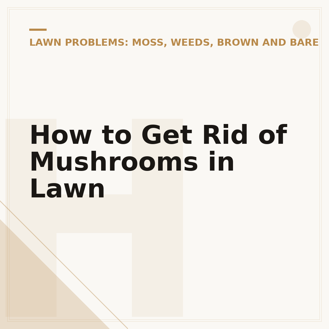 How to Get Rid of Mushrooms in Lawn