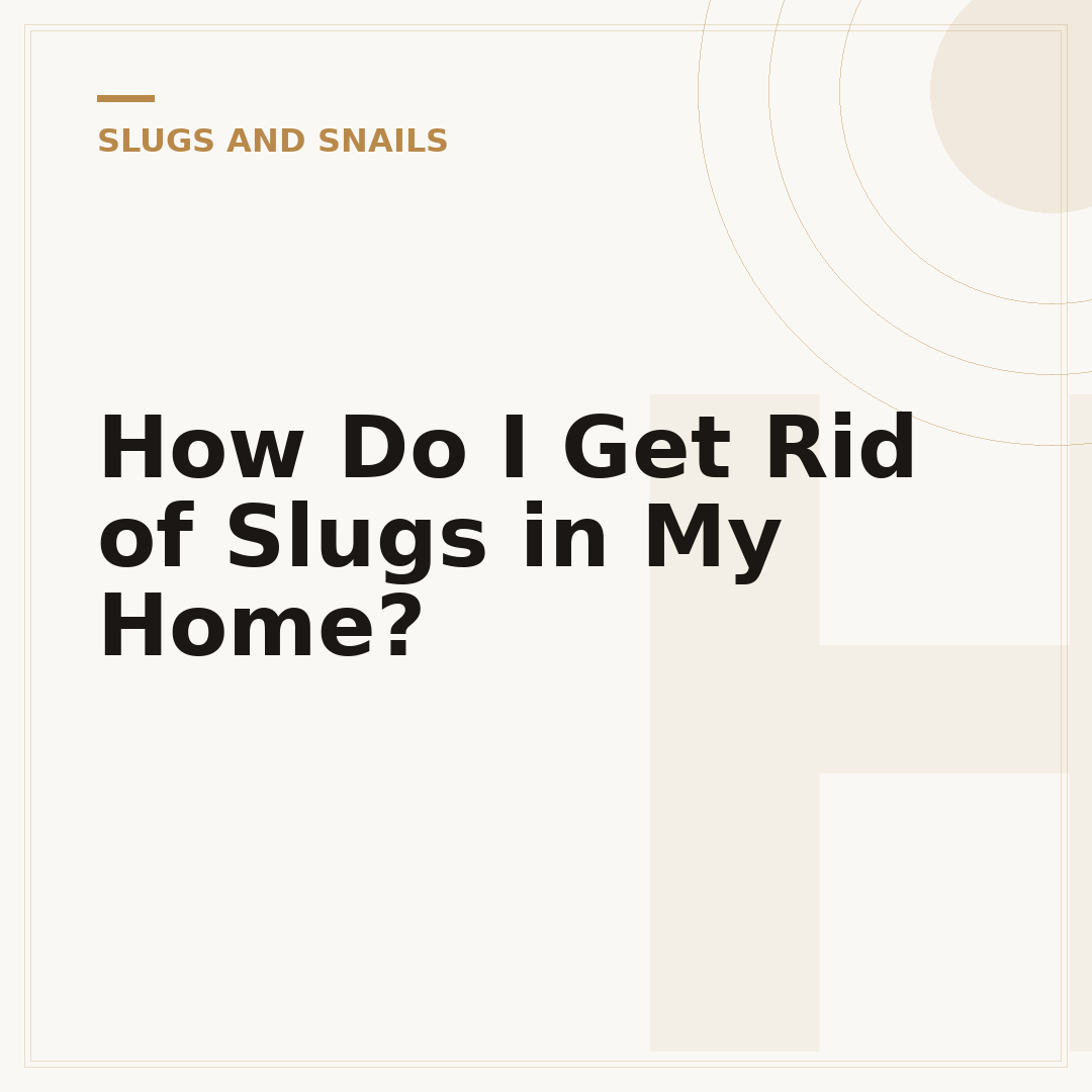 How Do I Get Rid of Slugs in My Home?