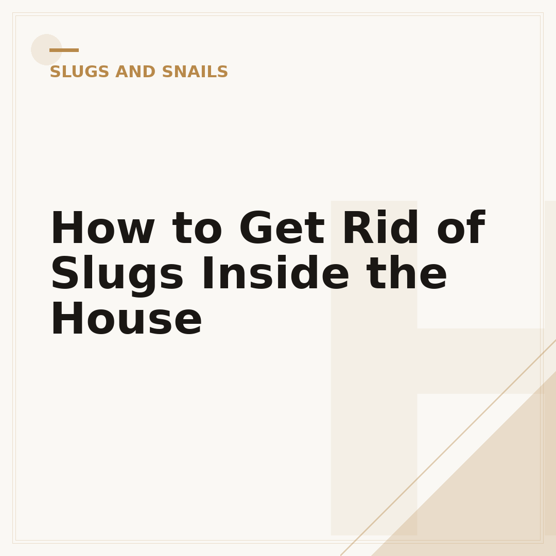How to Get Rid of Slugs Inside the House