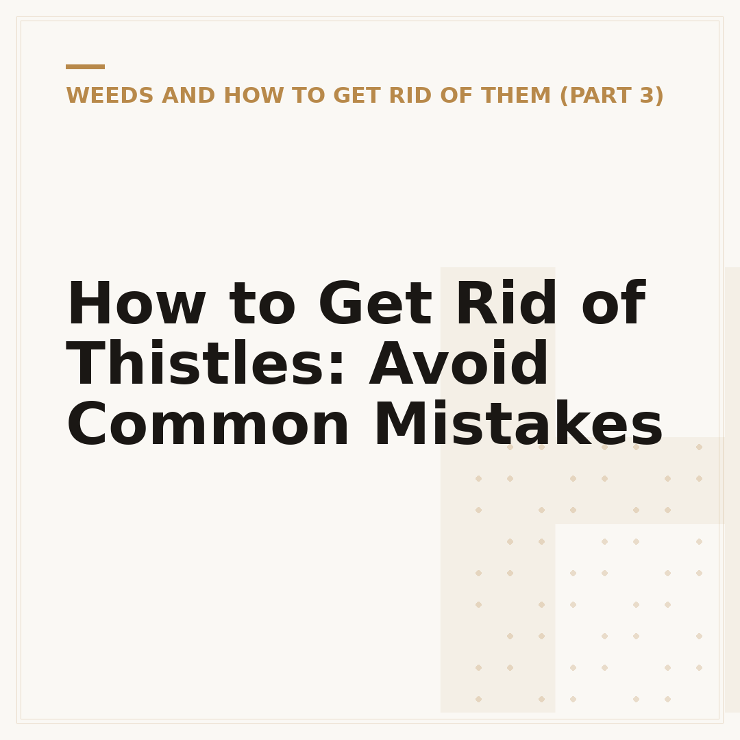 How to Get Rid of Thistles: Avoid Common Mistakes
