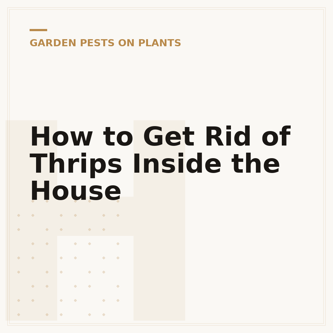 How to Get Rid of Thrips Inside the House