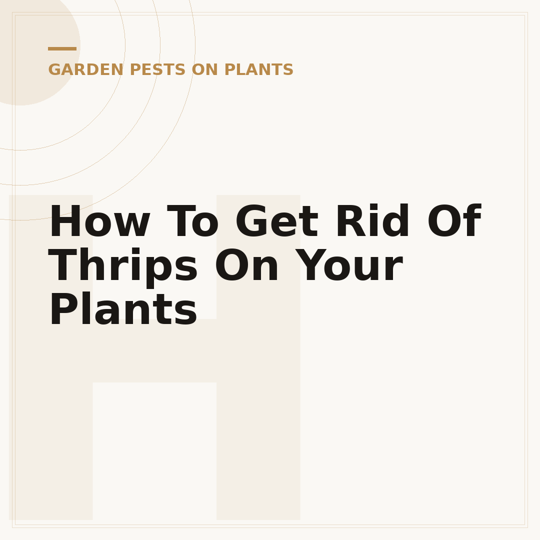 How To Get Rid Of Thrips On Your Plants