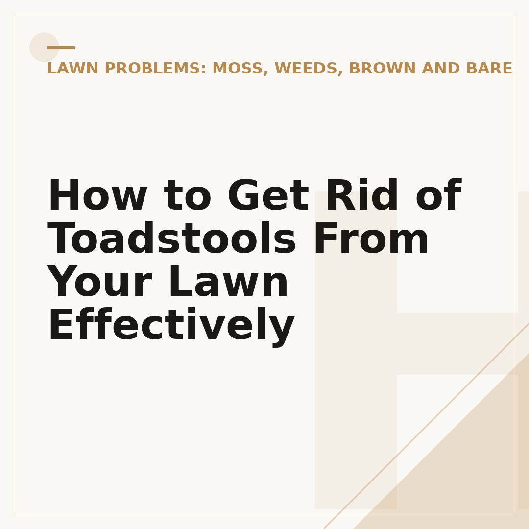 How to Get Rid of Toadstools From Your Lawn Effectively