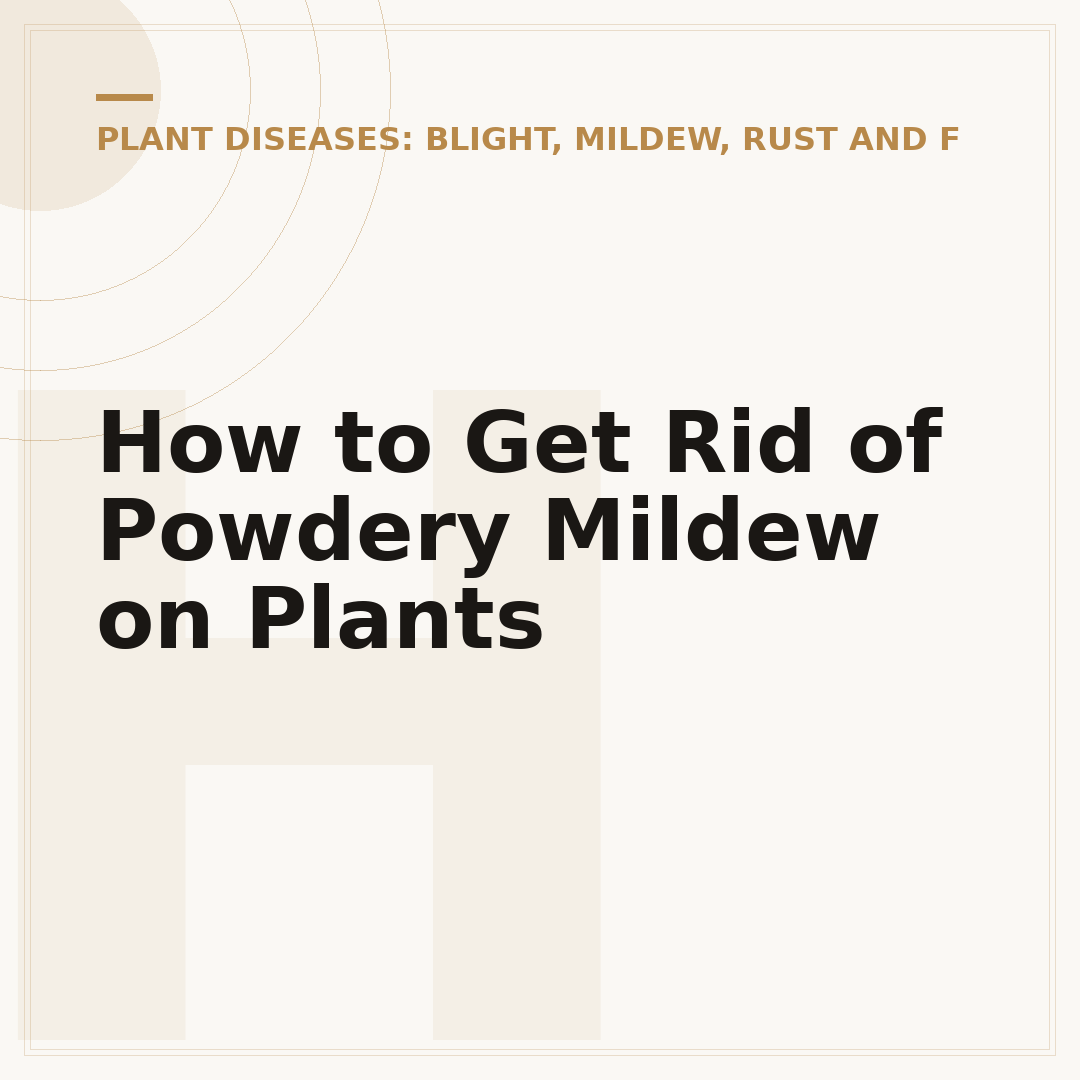How to Get Rid of Powdery Mildew on Plants