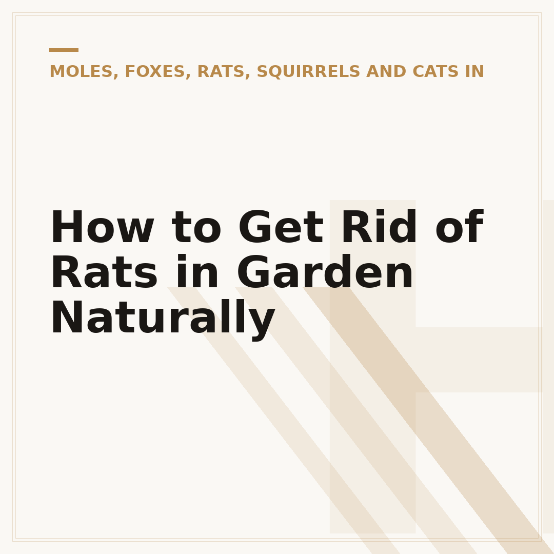 How to Get Rid of Rats in Garden Naturally