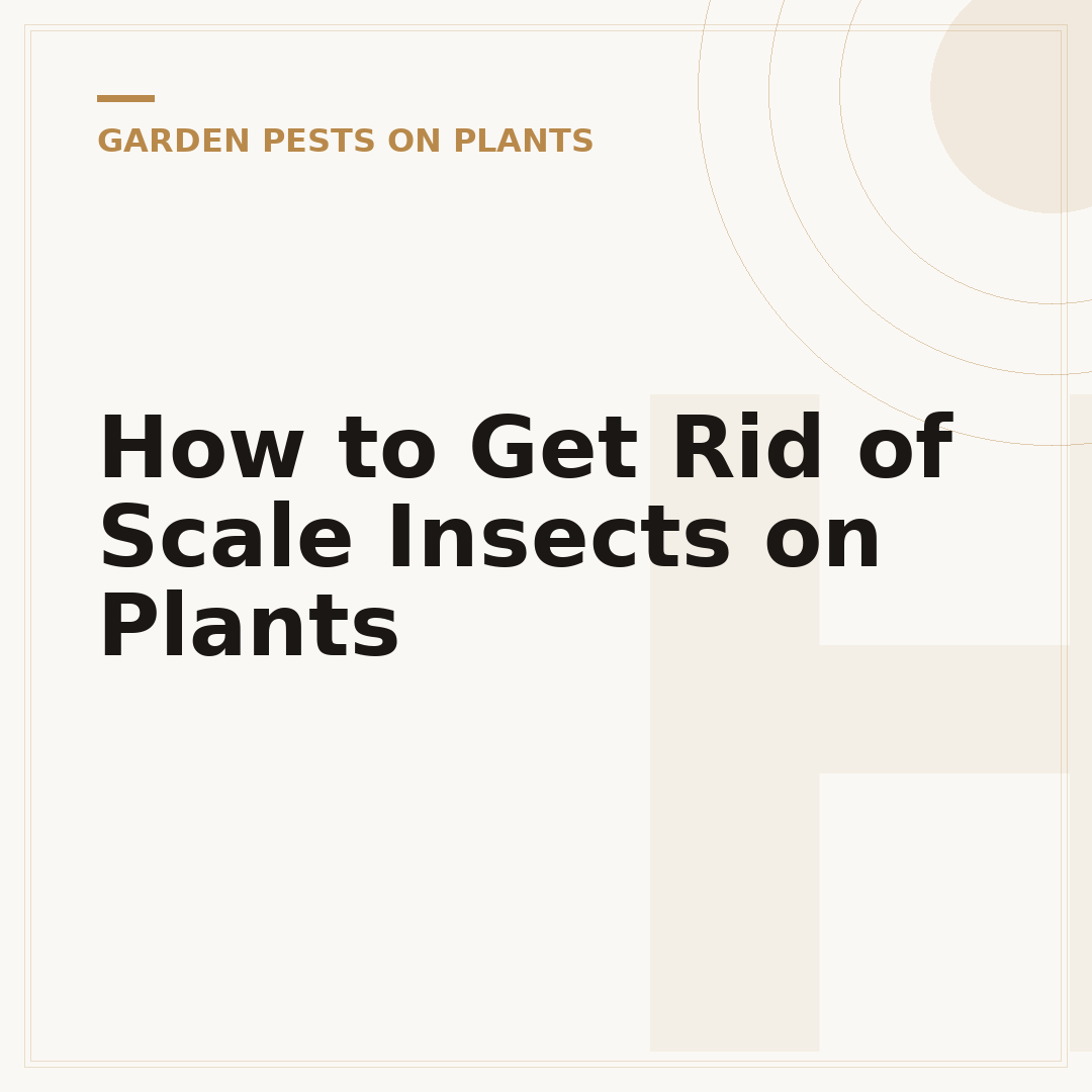 How to Get Rid of Scale Insects on Plants
