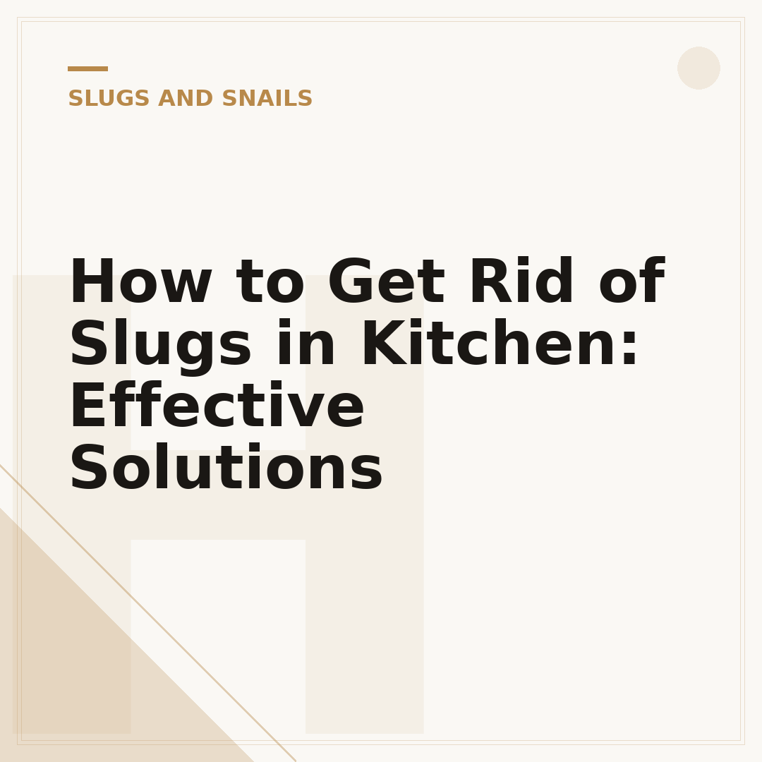 How to Get Rid of Slugs in Kitchen: Effective Solutions