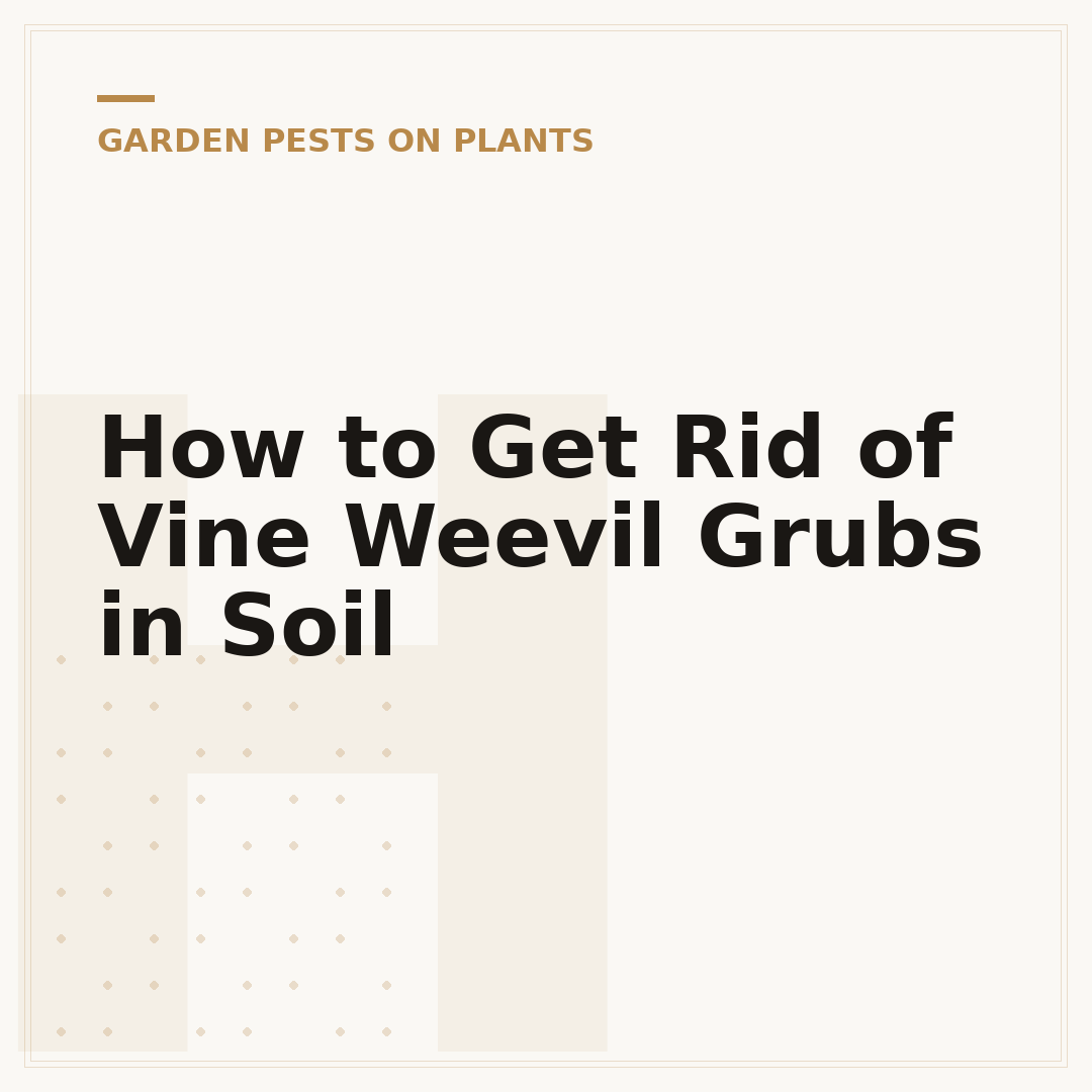 How to Get Rid of Vine Weevil Grubs in Soil