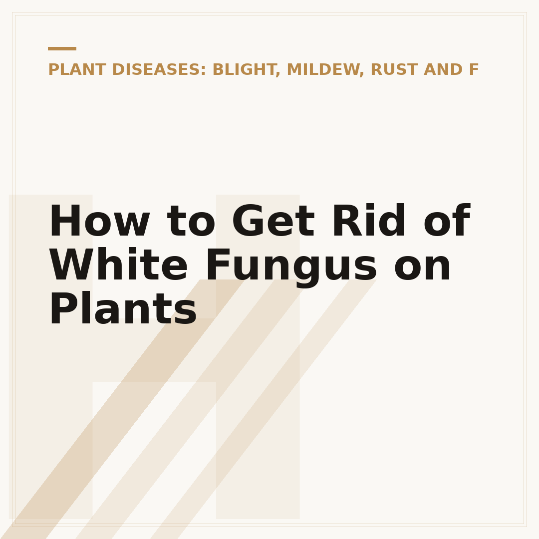 How to Get Rid of White Fungus on Plants
