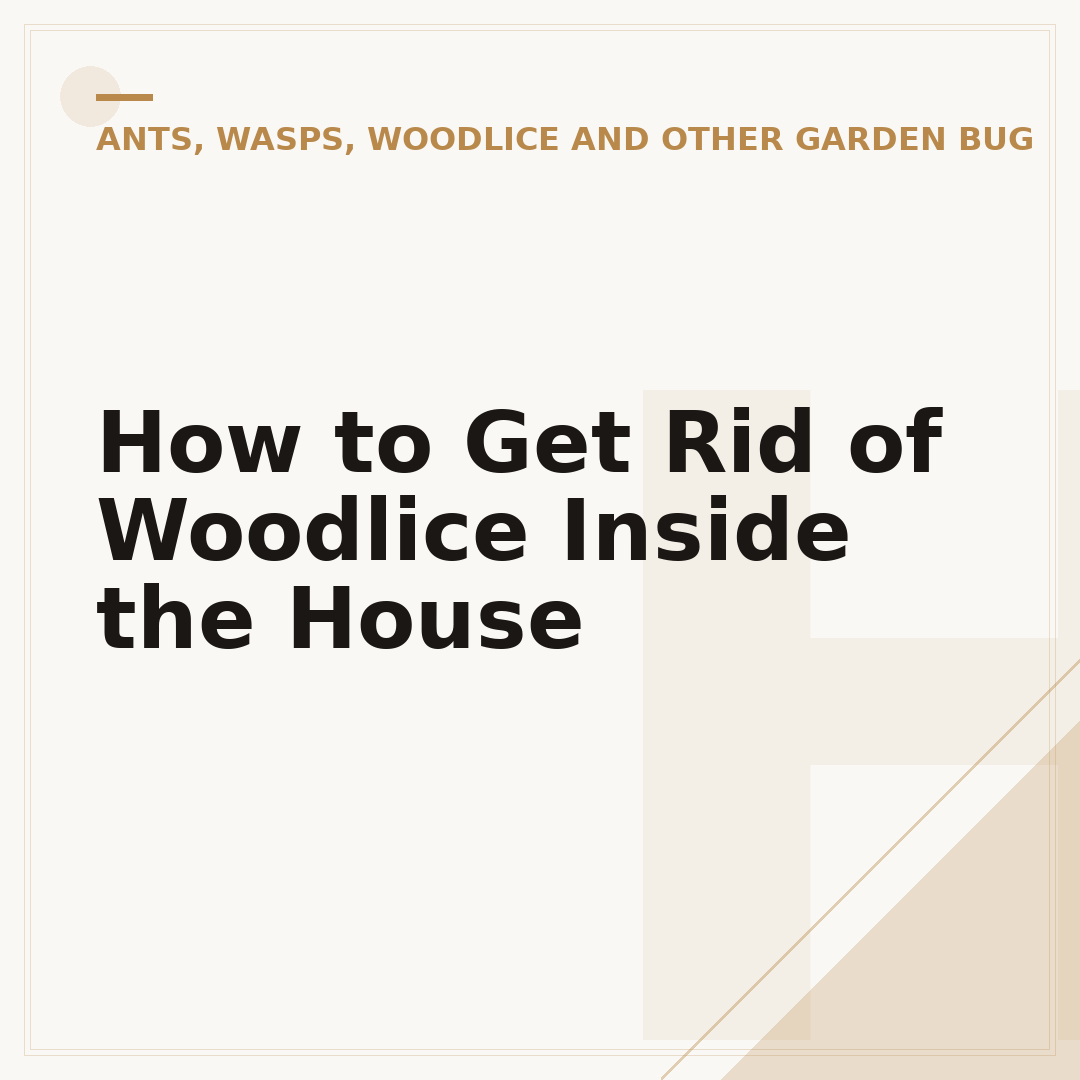 How to Get Rid of Woodlice Inside the House