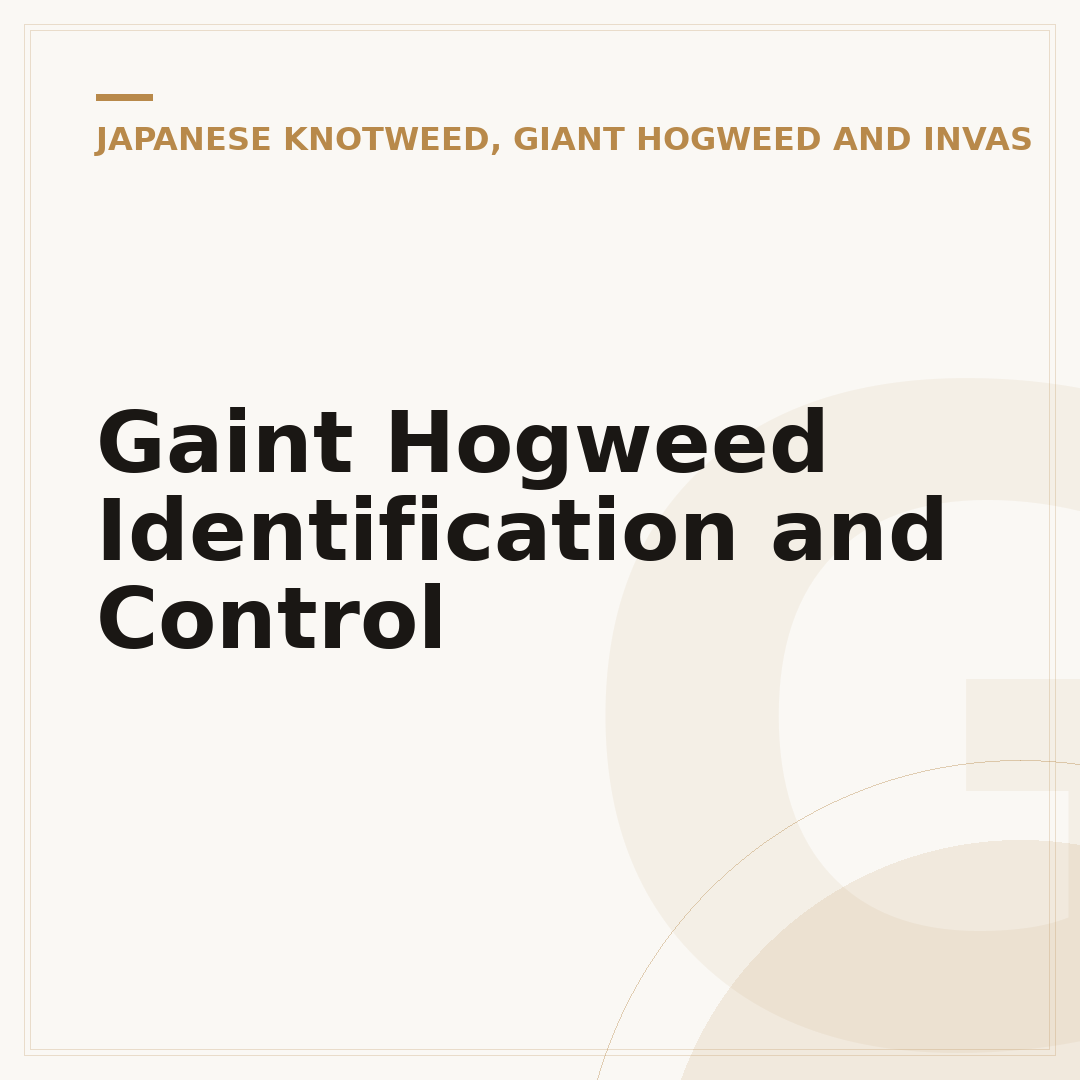 Gaint Hogweed Identification and Control