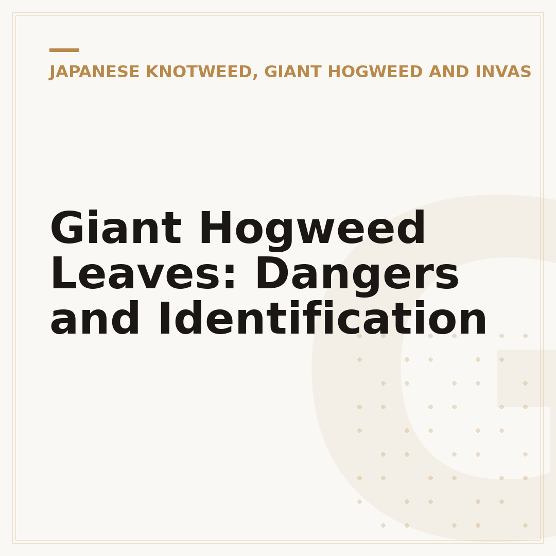 Giant Hogweed Leaves: Dangers and Identification