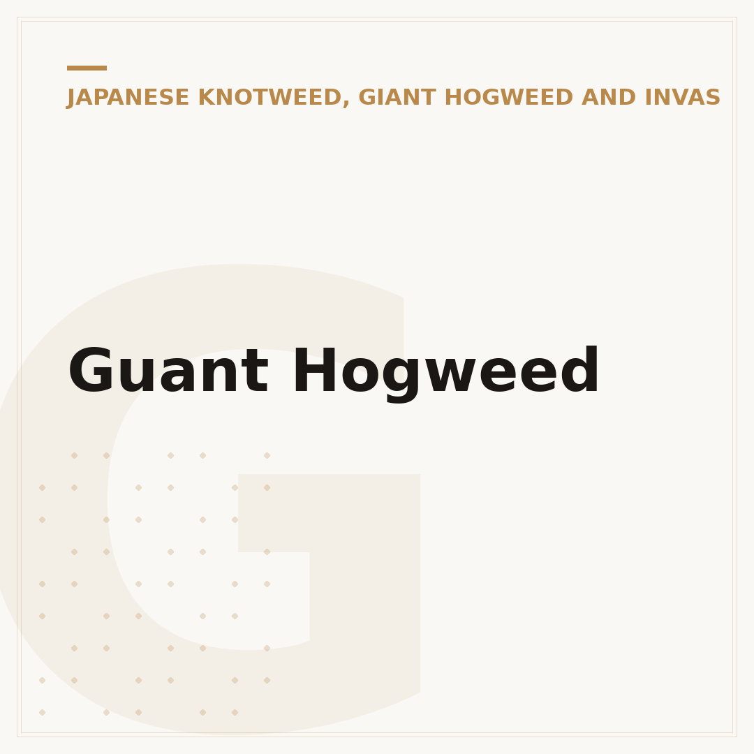 Guant Hogweed
