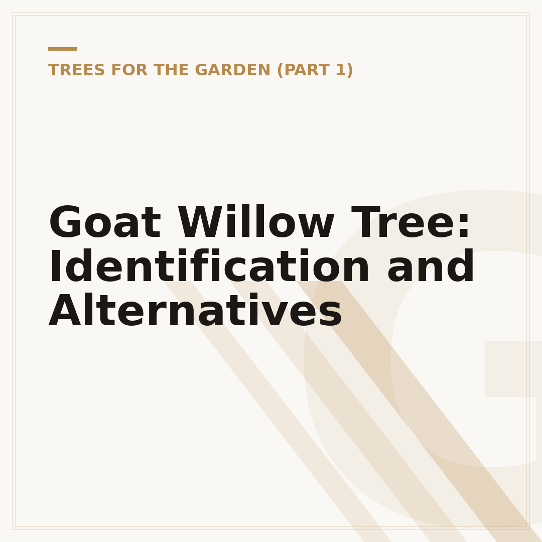 Goat Willow Tree: Identification and Alternatives
