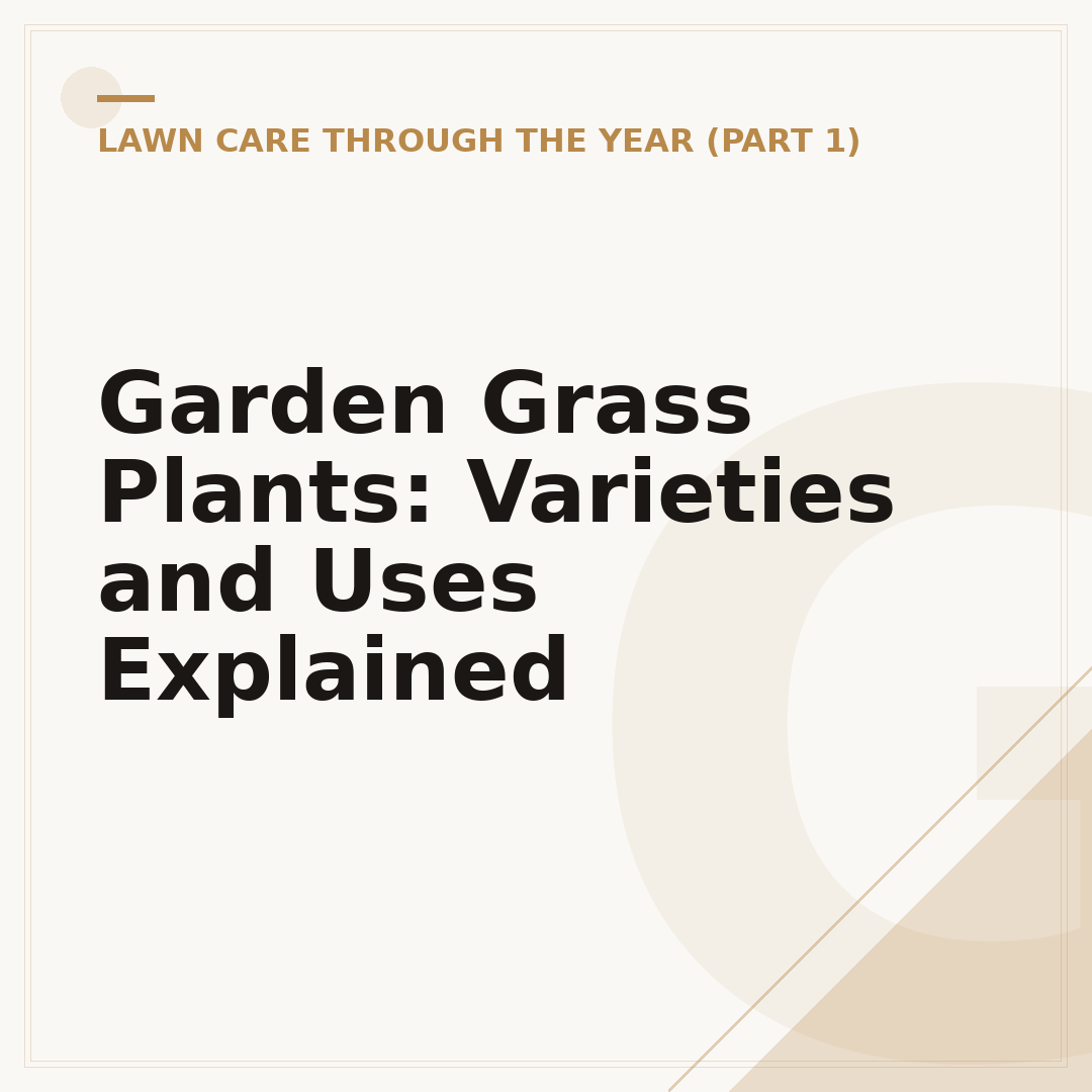 Garden Grass Plants: Varieties and Uses Explained