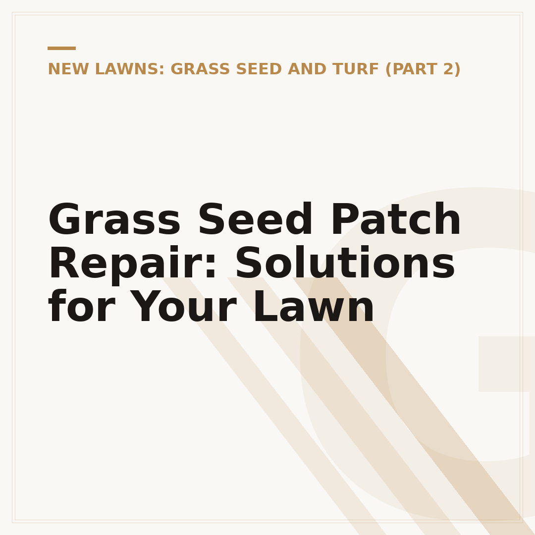 Grass Seed Patch Repair: Solutions for Your Lawn