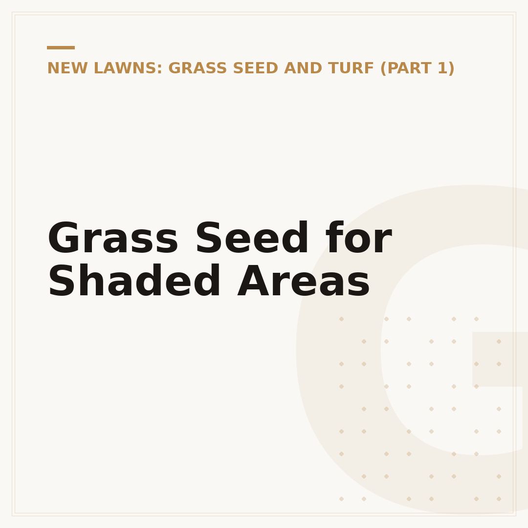 Grass Seed for Shaded Areas