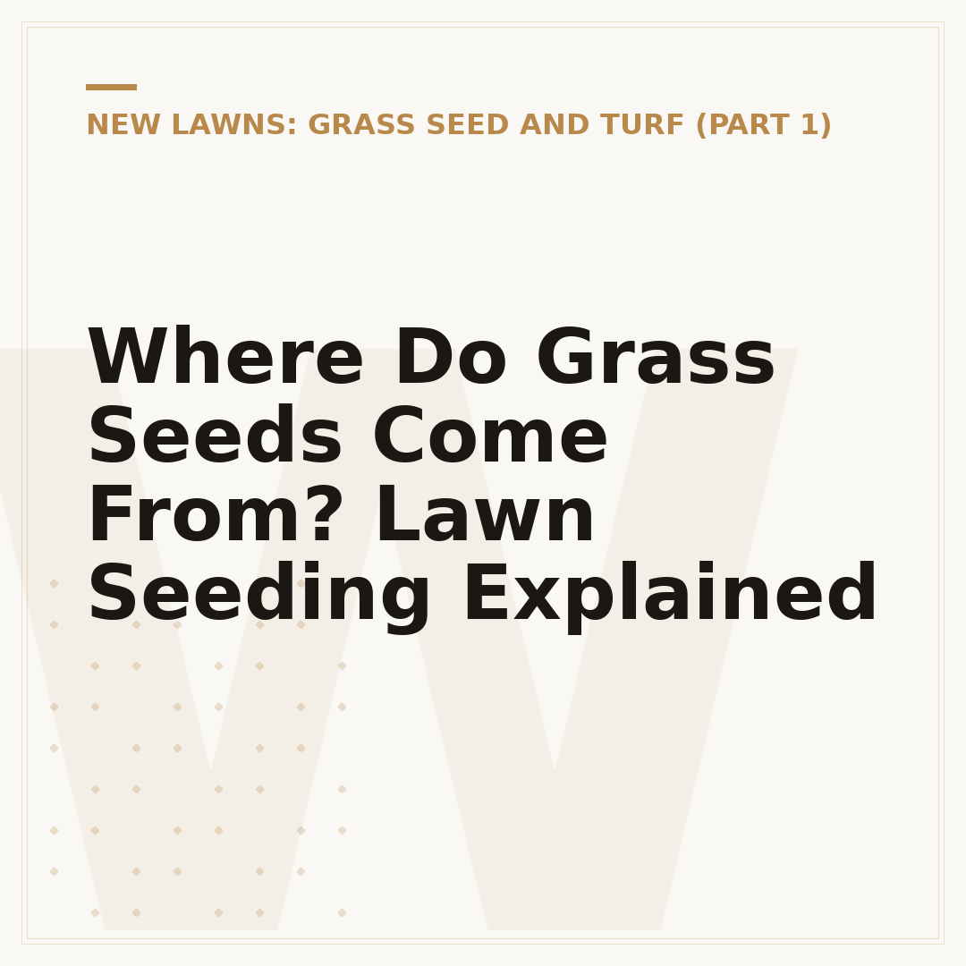Where Do Grass Seeds Come From? Lawn Seeding Explained