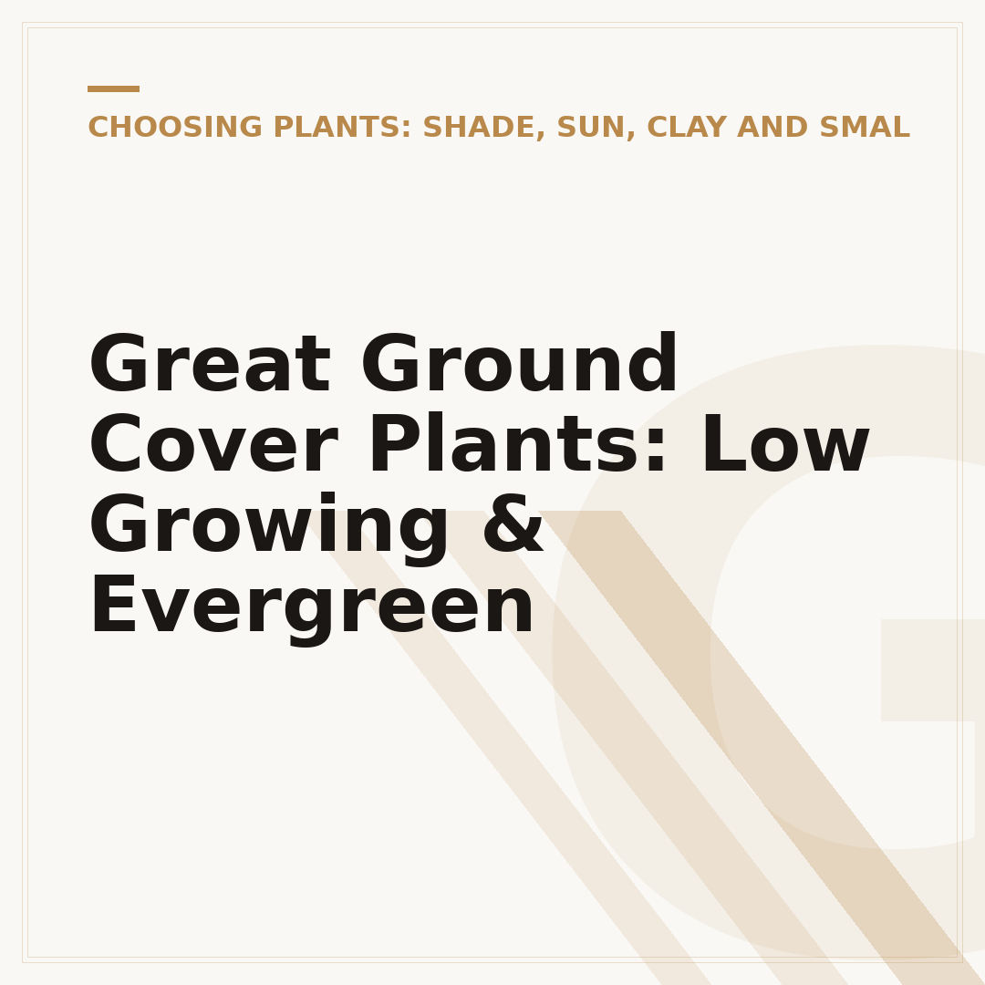 Great Ground Cover Plants: Low Growing & Evergreen