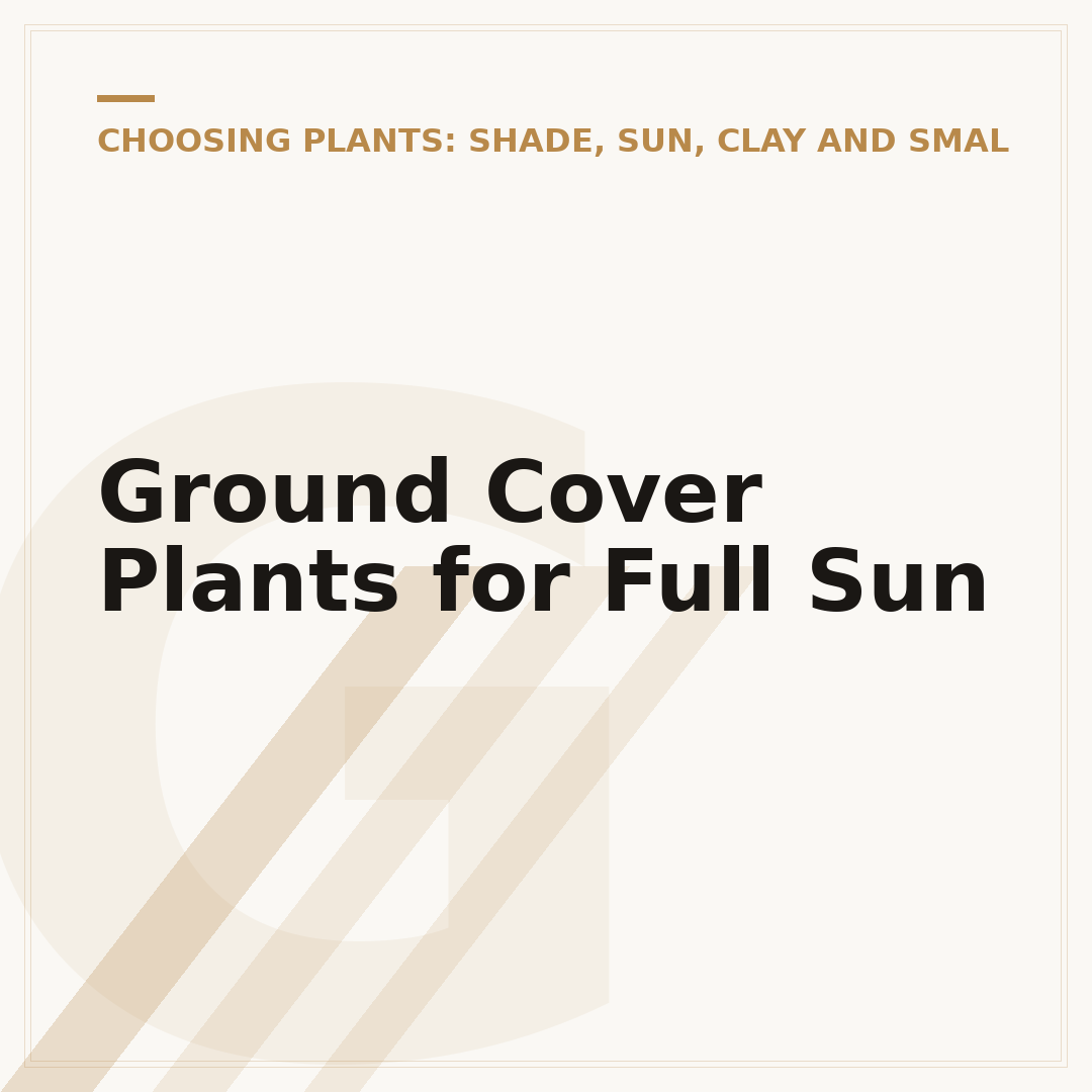 Ground Cover Plants for Full Sun
