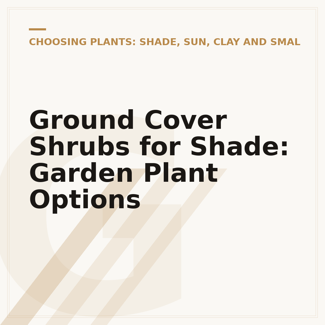 Ground Cover Shrubs for Shade: Garden Plant Options