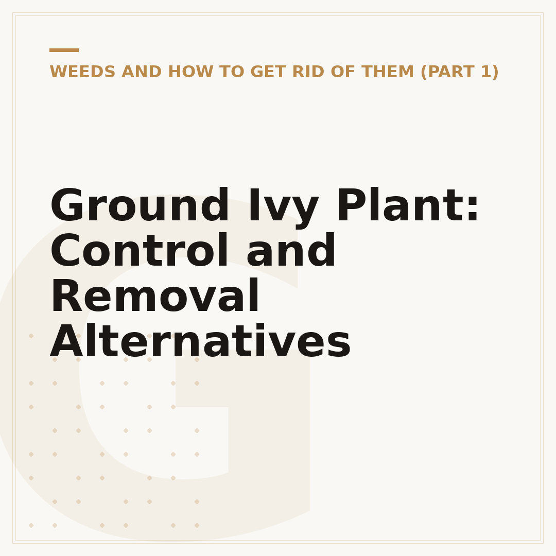 Ground Ivy Plant: Control and Removal Alternatives