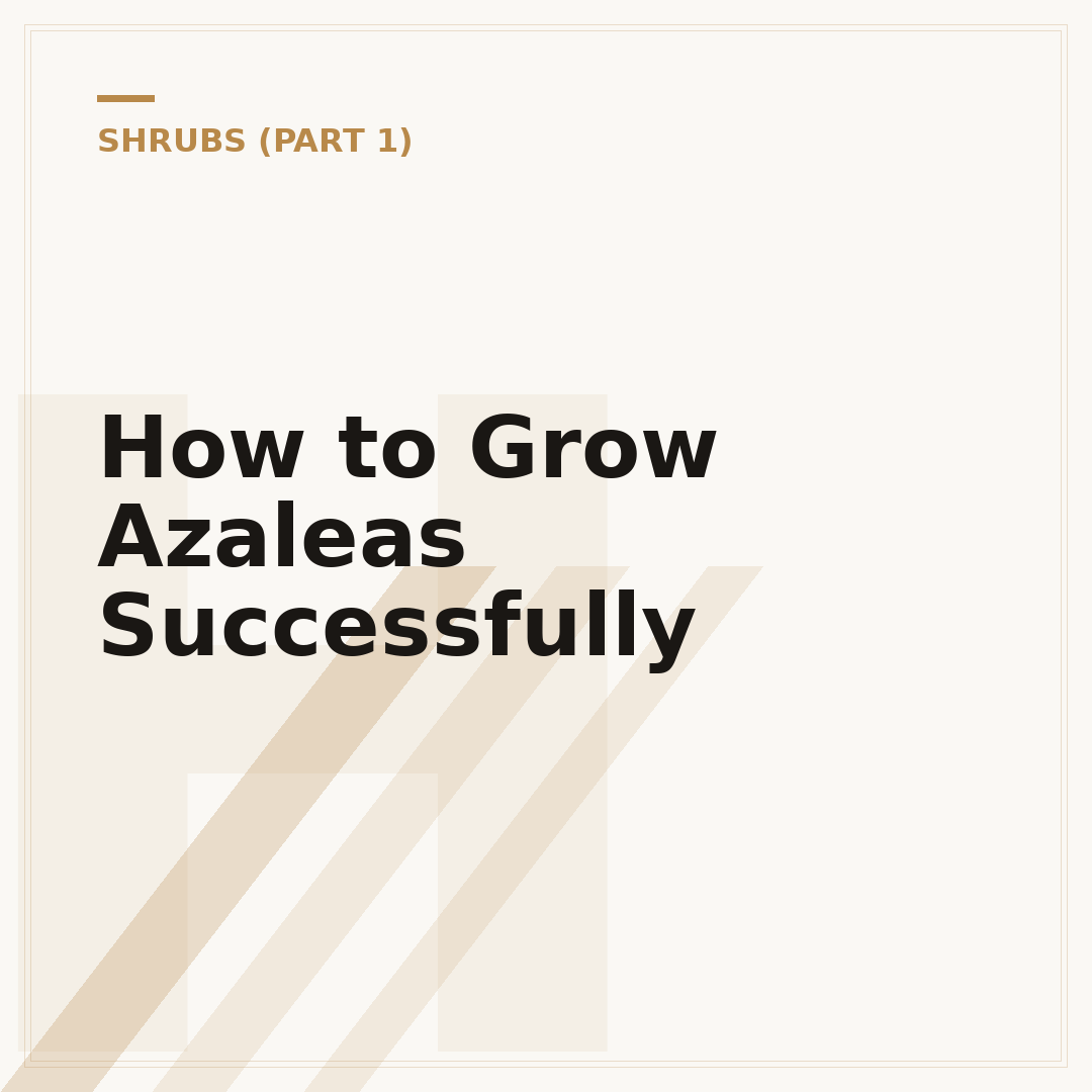 How to Grow Azaleas Successfully