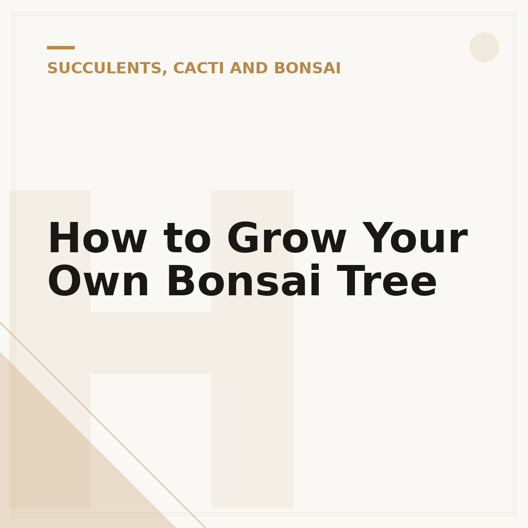 How to Grow Your Own Bonsai Tree