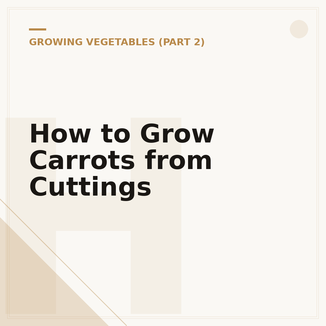 How to Grow Carrots from Cuttings