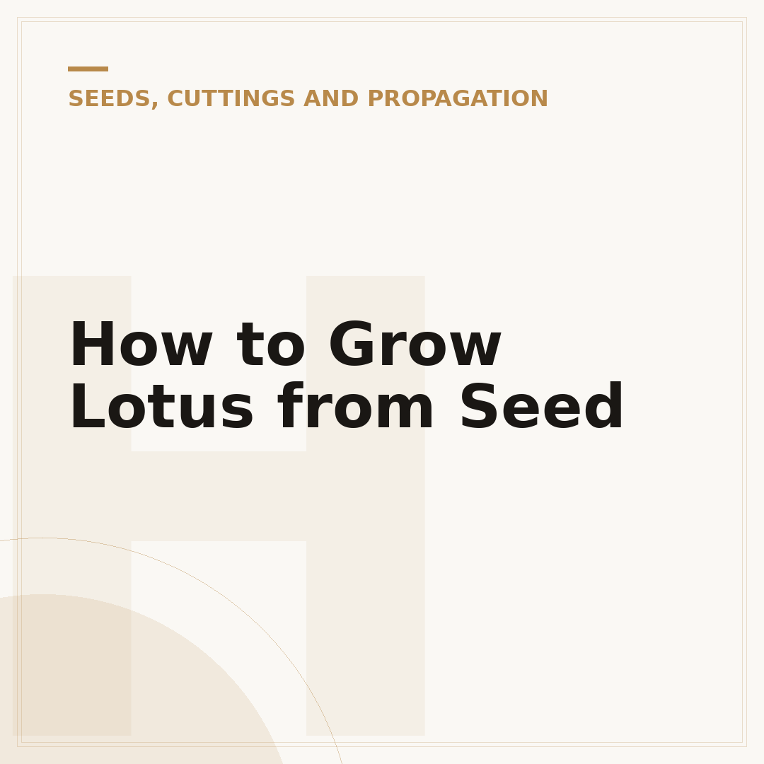 How to Grow Lotus from Seed