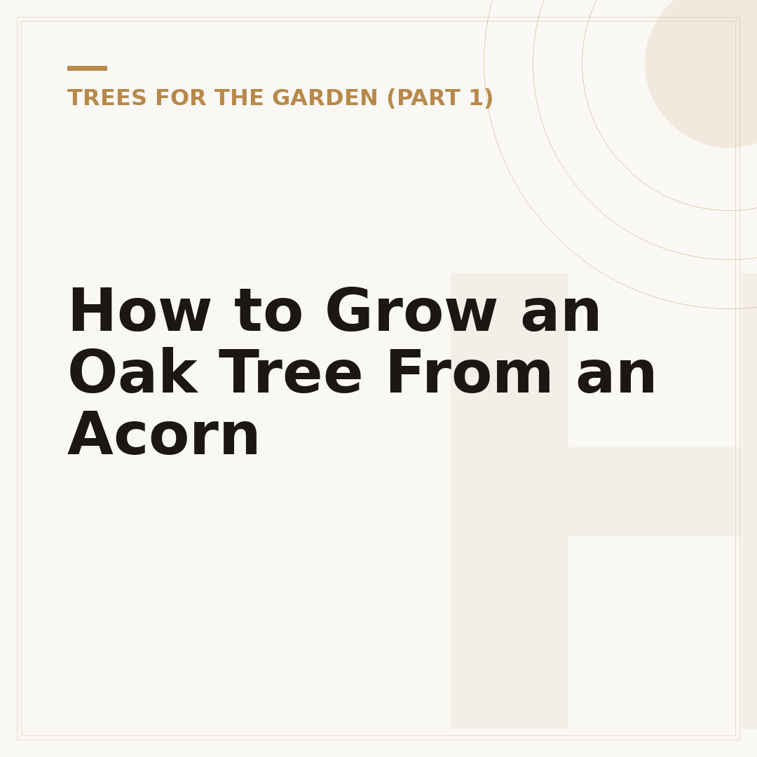 How to Grow an Oak Tree From an Acorn