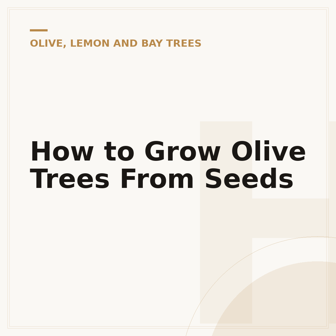 How to Grow Olive Trees From Seeds