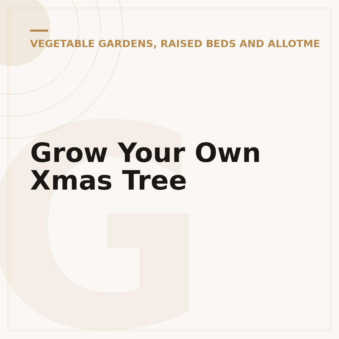 Grow Your Own Xmas Tree