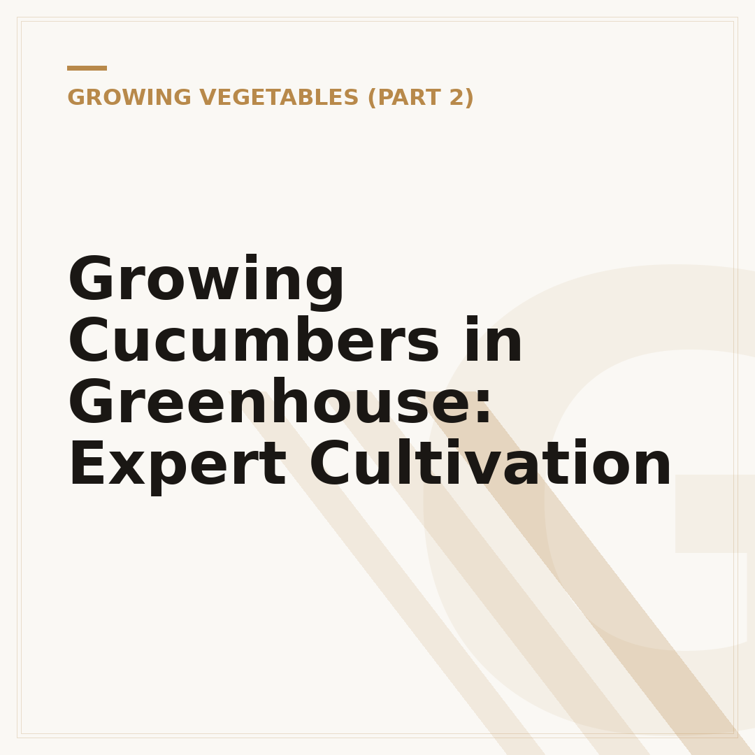 Growing Cucumbers in Greenhouse: Expert Cultivation