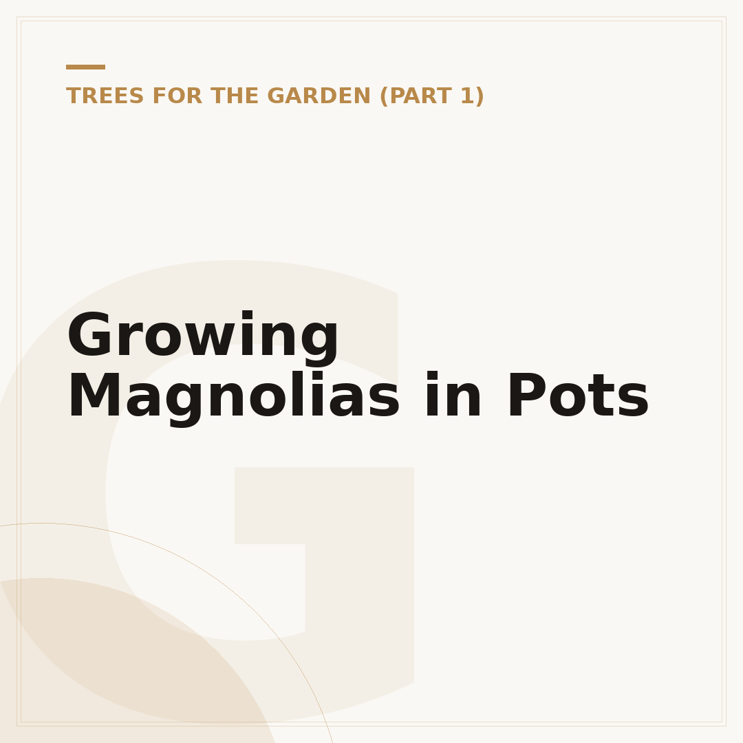Growing Magnolias in Pots