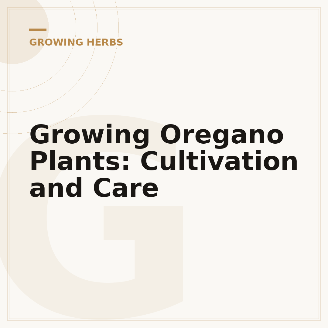 Growing Oregano Plants: Cultivation and Care