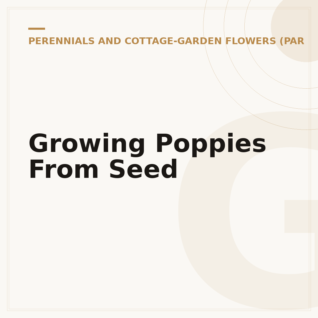 Growing Poppies From Seed