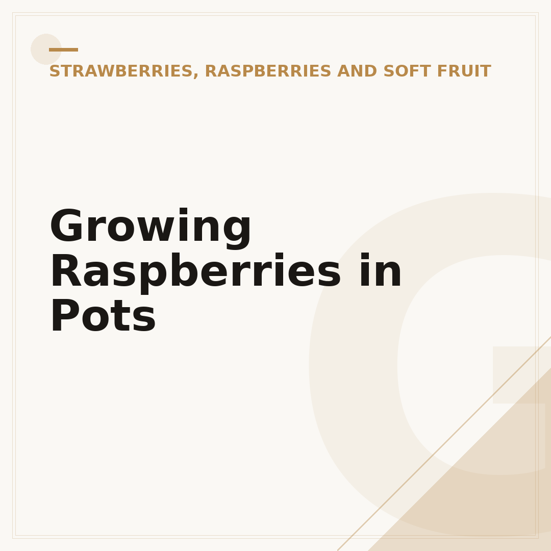 Growing Raspberries in Pots