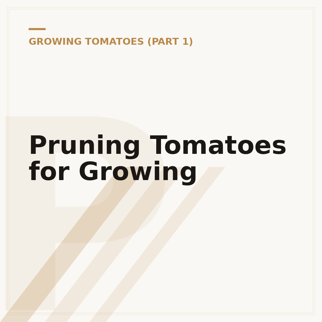 Pruning Tomatoes for Growing