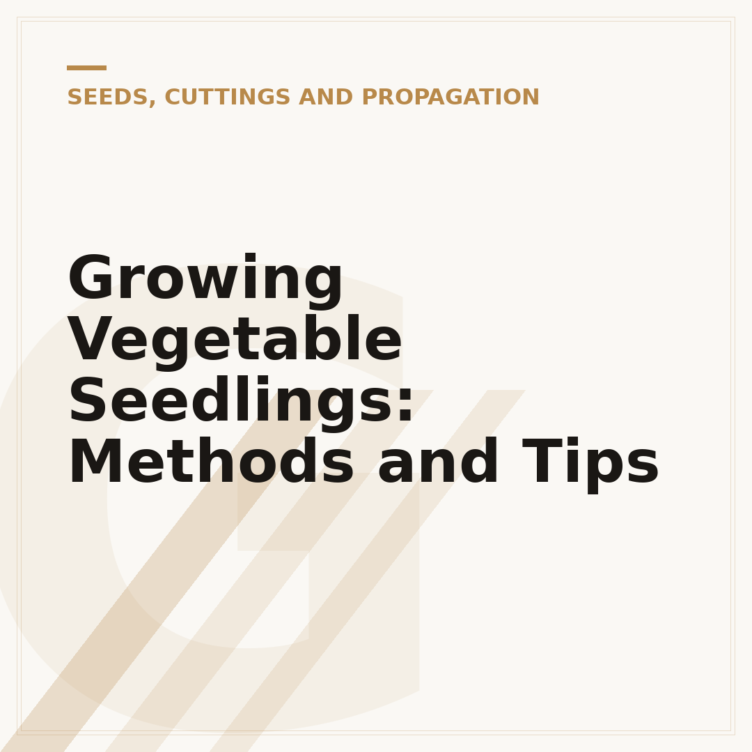Growing Vegetable Seedlings: Methods and Tips