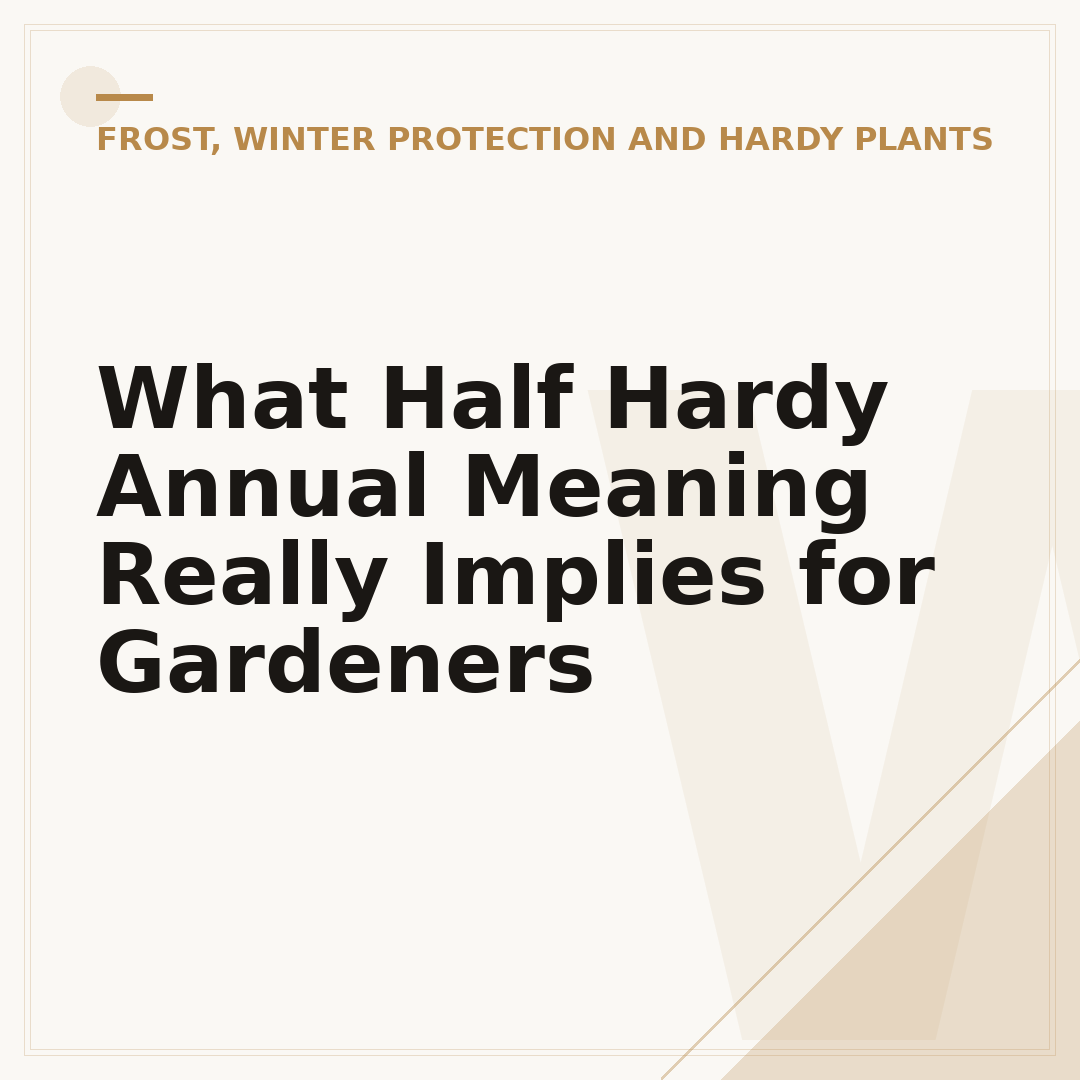 What Half Hardy Annual Meaning Really Implies for Gardeners