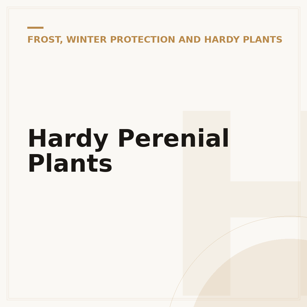 Hardy Perenial Plants