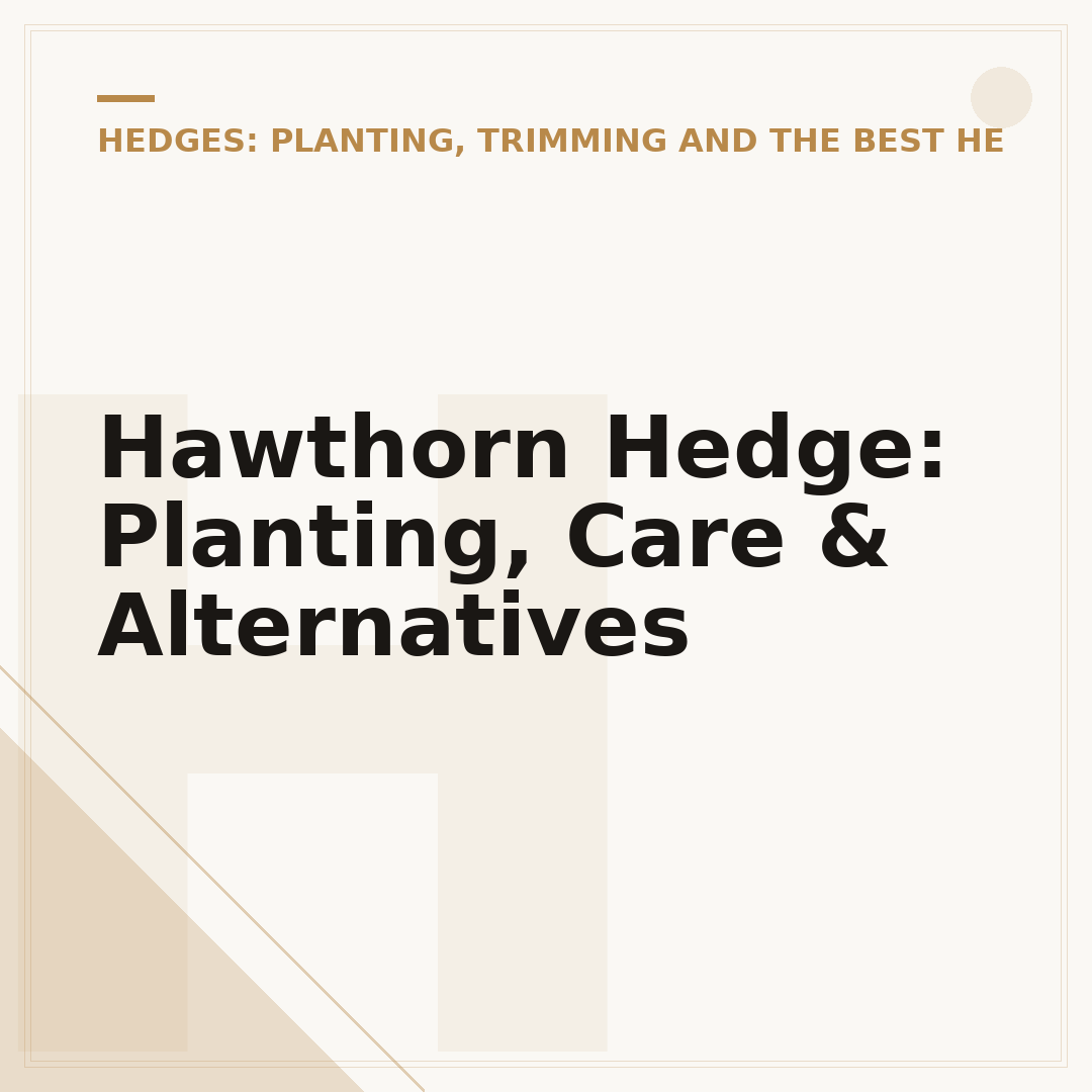 Hawthorn Hedge: Planting, Care & Alternatives