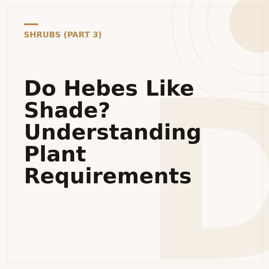 Do Hebes Like Shade? Understanding Plant Requirements
