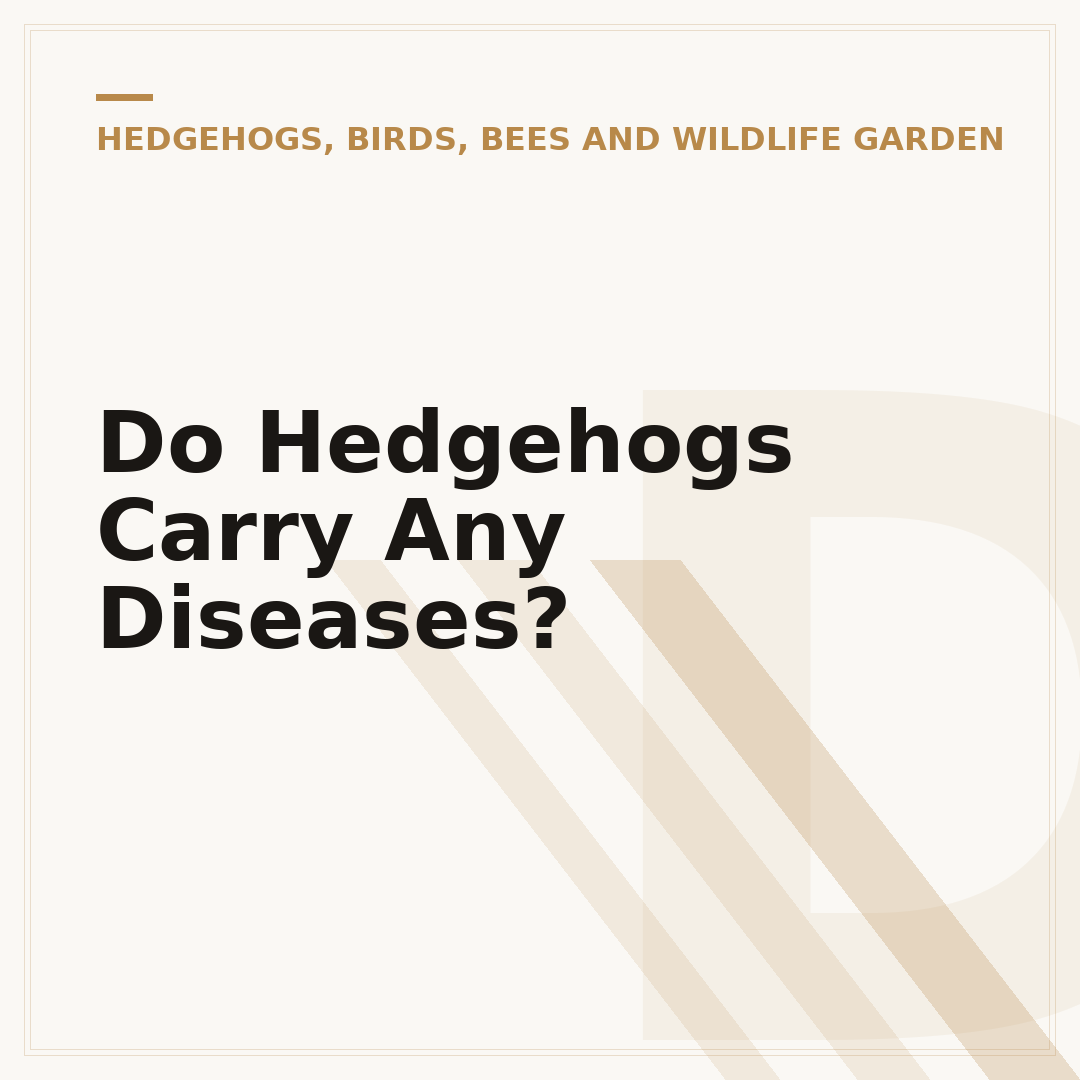 Do Hedgehogs Carry Any Diseases?