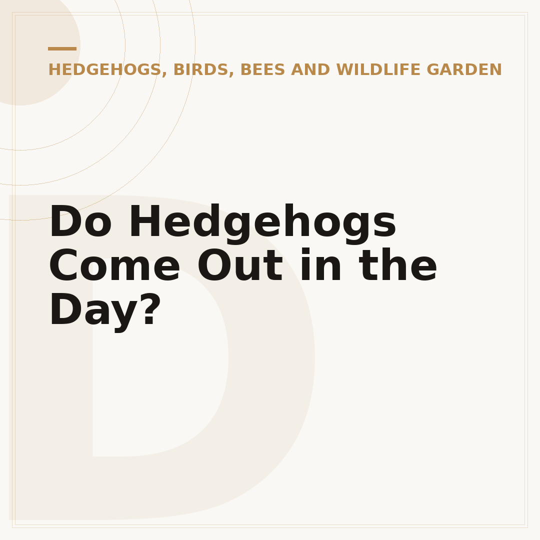 Do Hedgehogs Come Out in the Day?