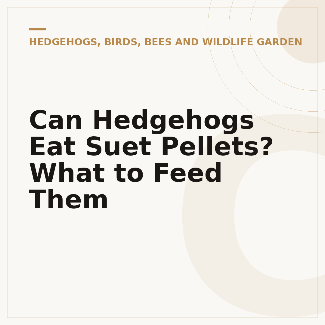 Can Hedgehogs Eat Suet Pellets? What to Feed Them