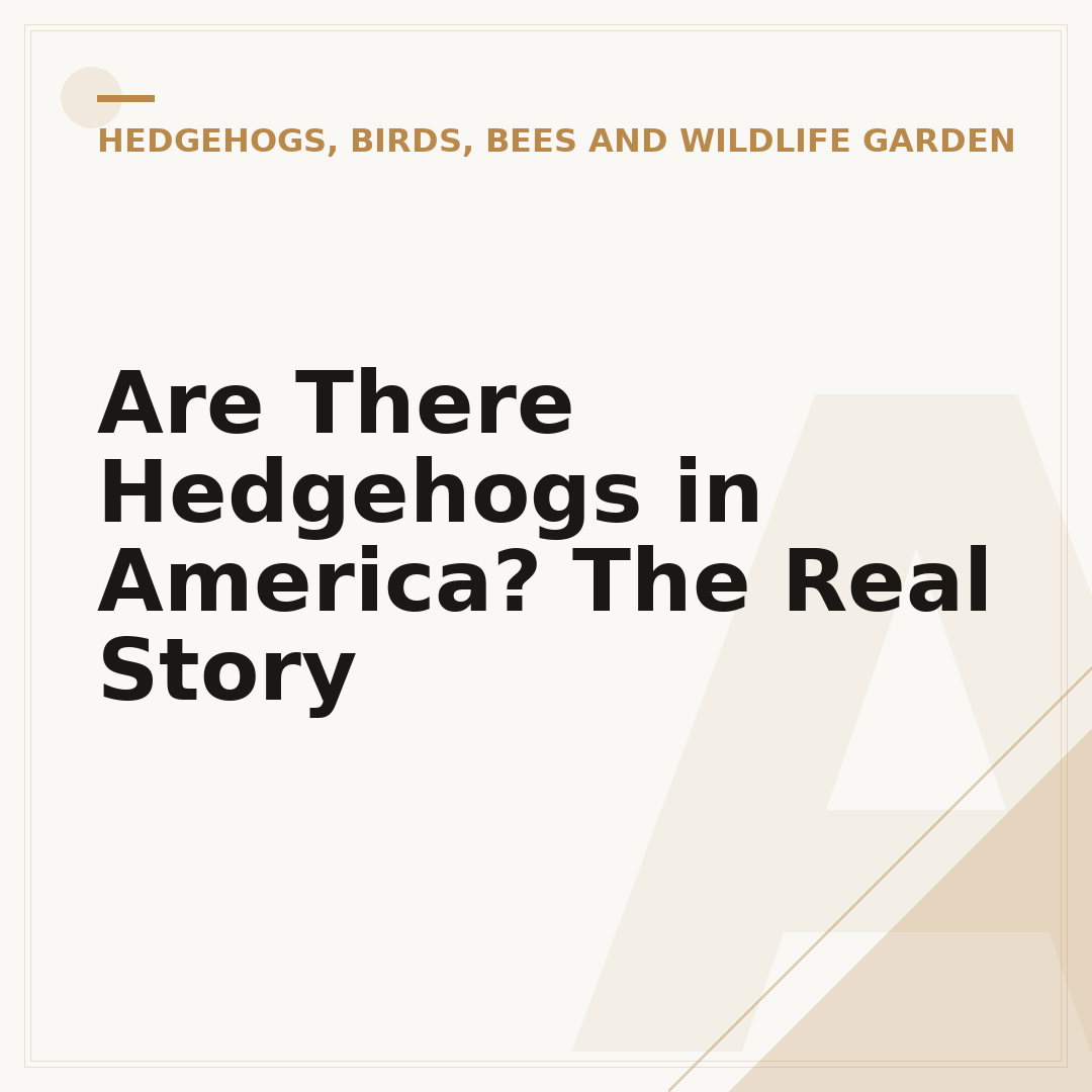 Are There Hedgehogs in America? The Real Story
