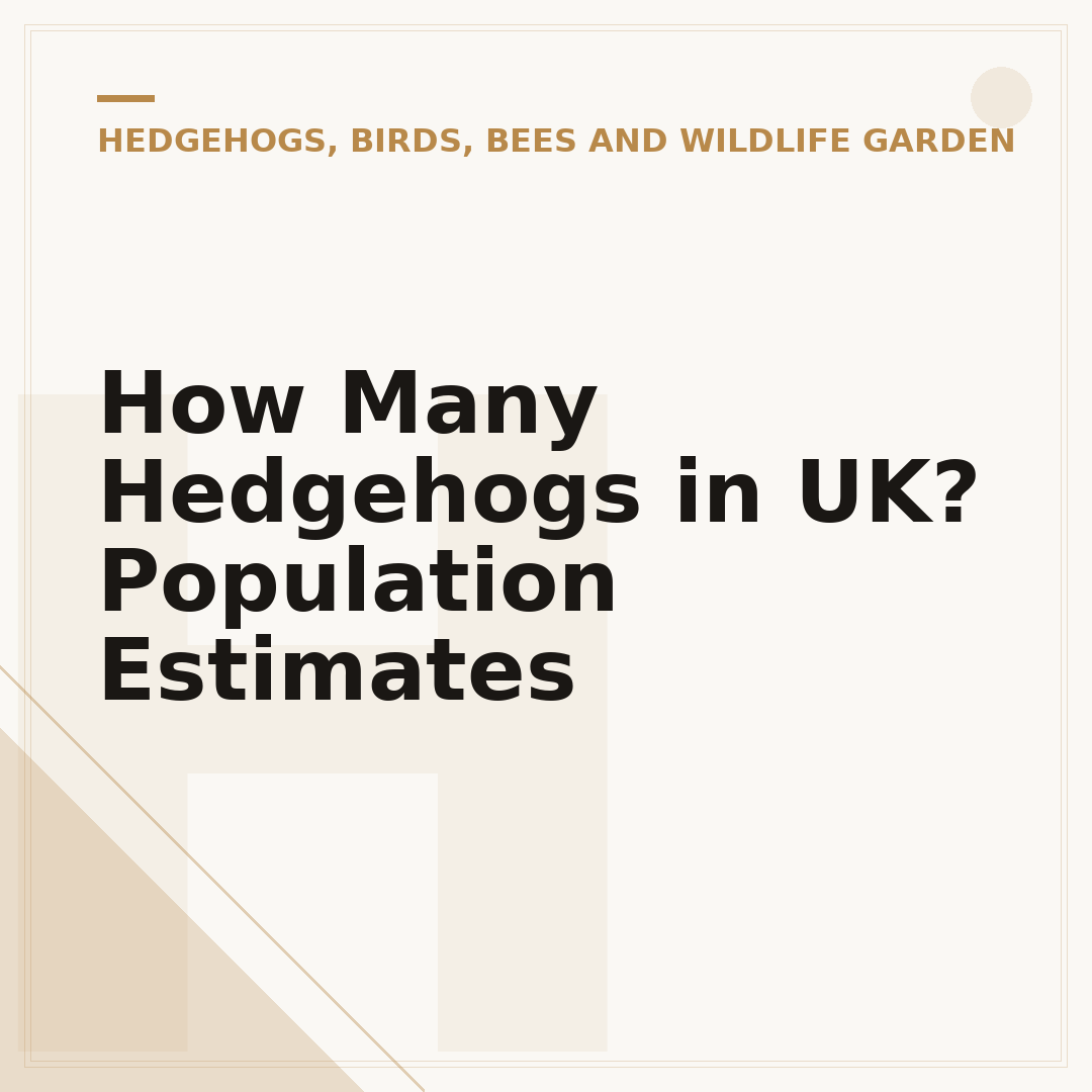 How Many Hedgehogs in UK? Population Estimates