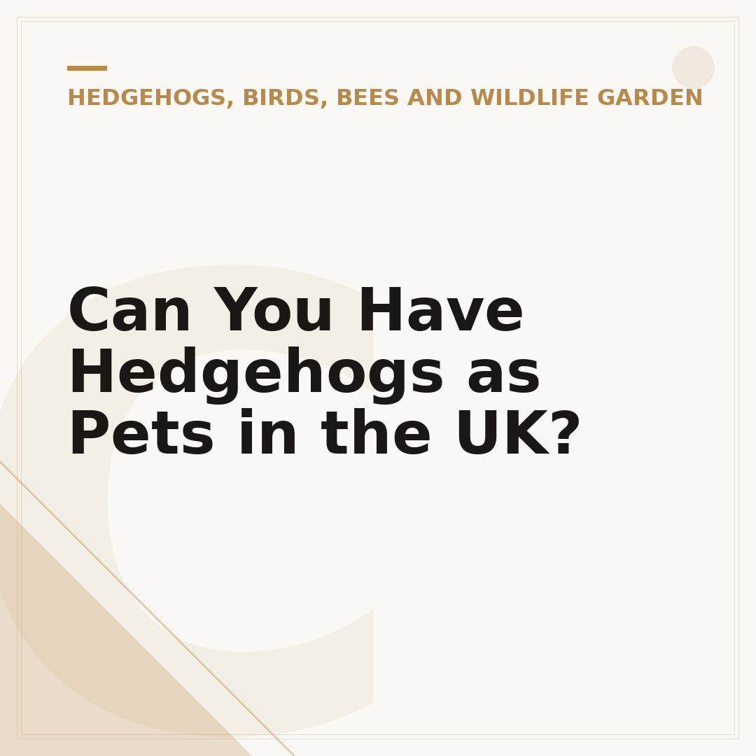 Can You Have Hedgehogs as Pets in the UK?